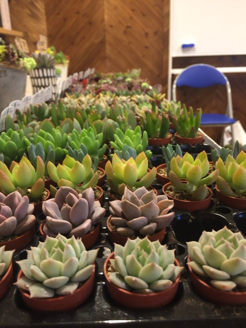 次期開催予定 過去のブログ ブログ 株式会社リライフ日興