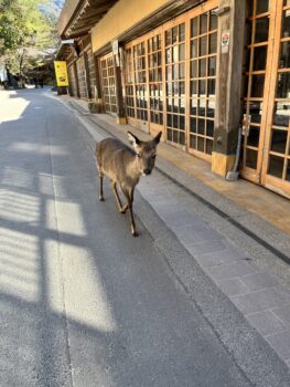 山登り🌞