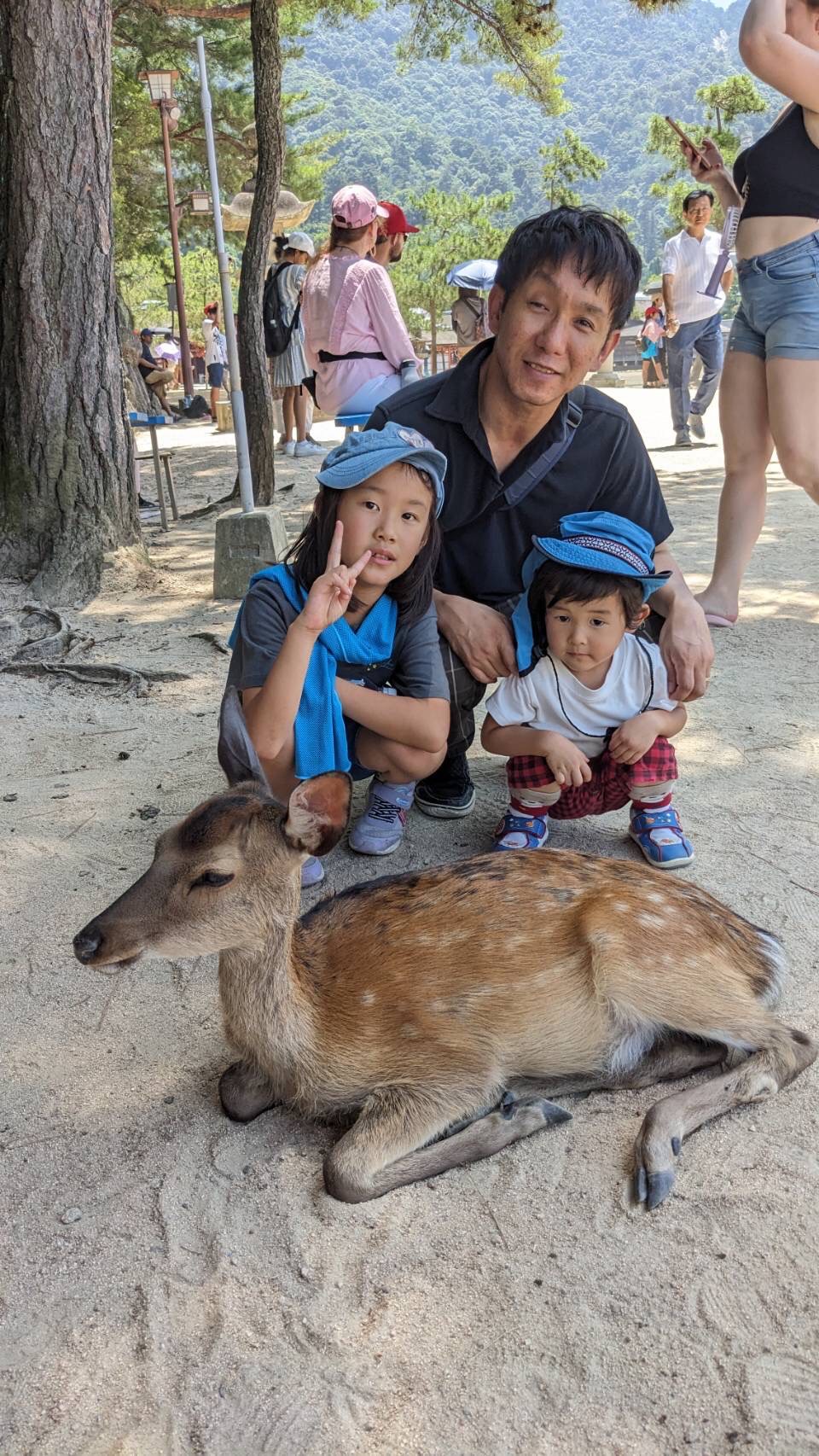 チームラボ＆宮島水族館